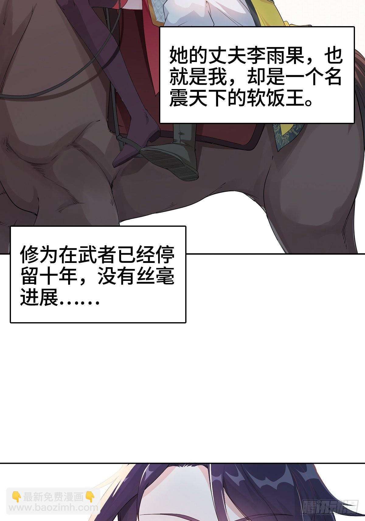 🍵被迫成为反派赘婿 纳兰城的软饭王 第15页