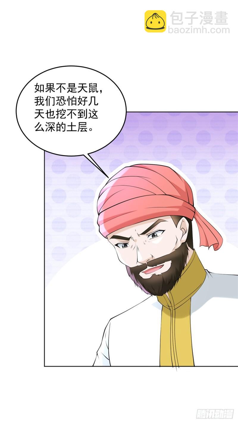 🍵被迫成为反派赘婿 地穴探险 第11页