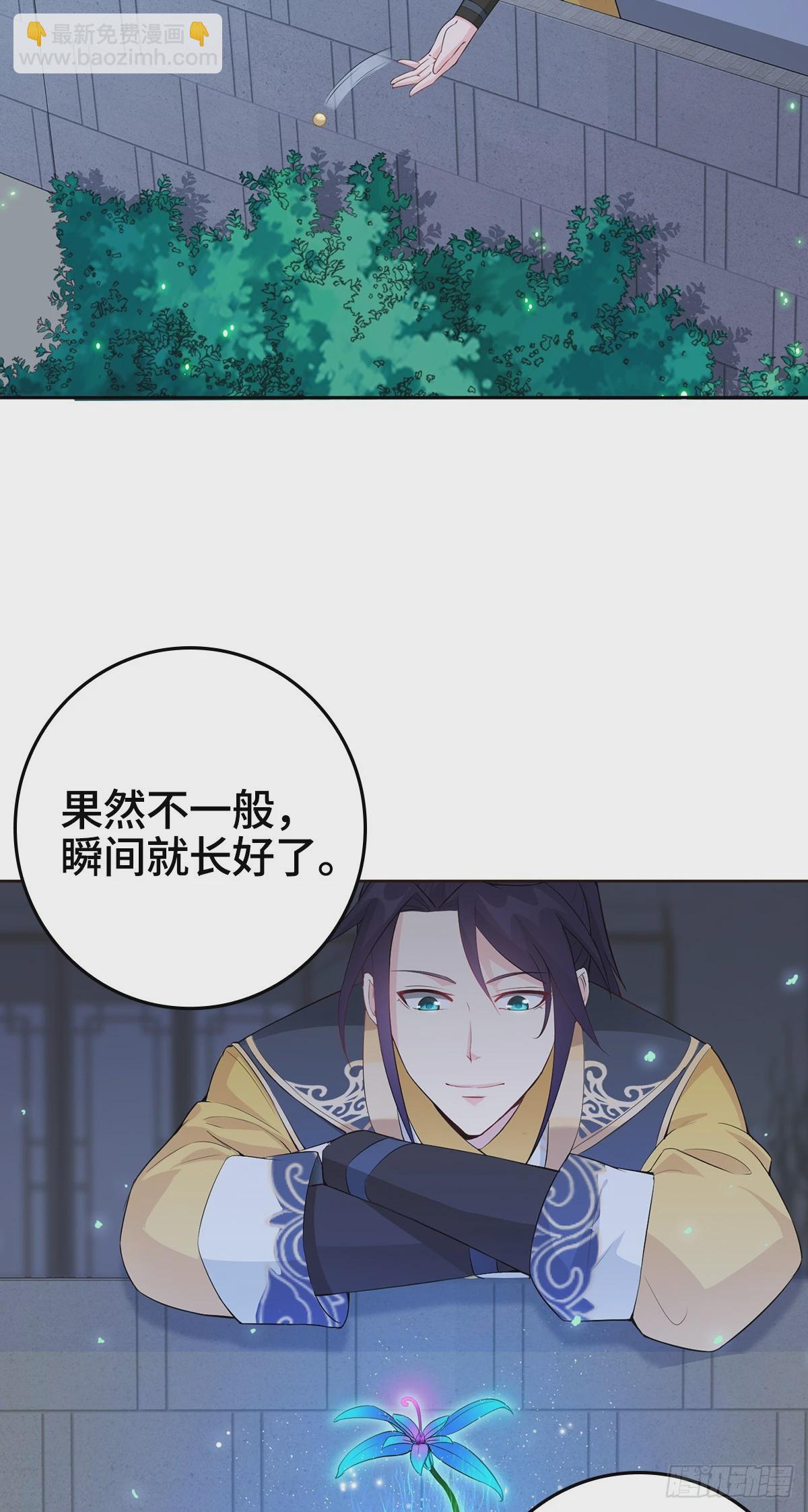 🍵被迫成为反派赘婿 烈“阳”神鉴 第4页