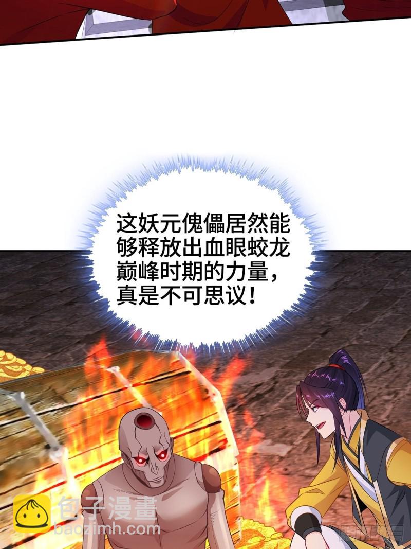 🍵被迫成为反派赘婿 妖元傀儡 第16页