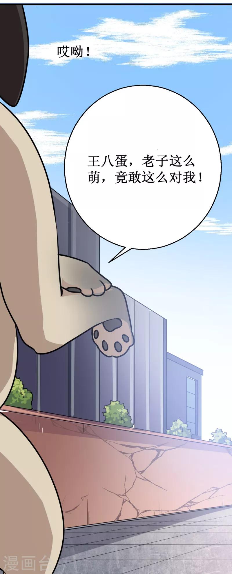 第12话 巴哥巴哥-第13话