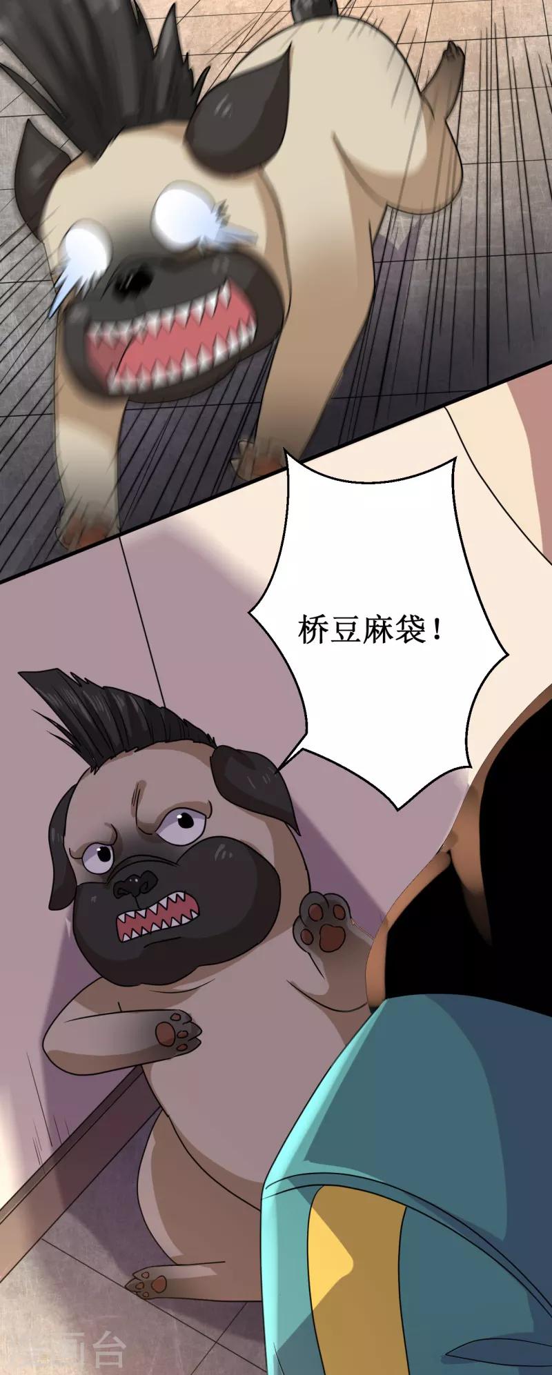 第16话 我认证了D级？-第17话