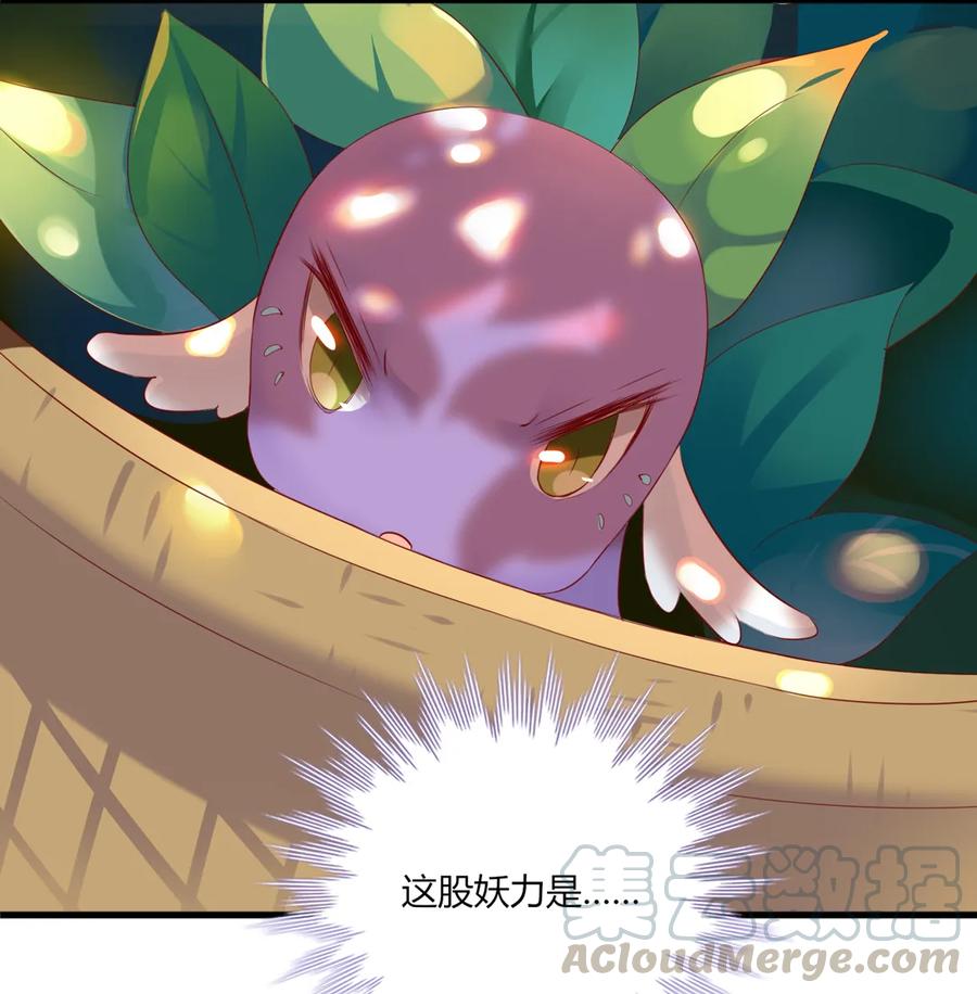 🍵被天敌饲养的日子 第201话 女人，给我躲好了 第19页