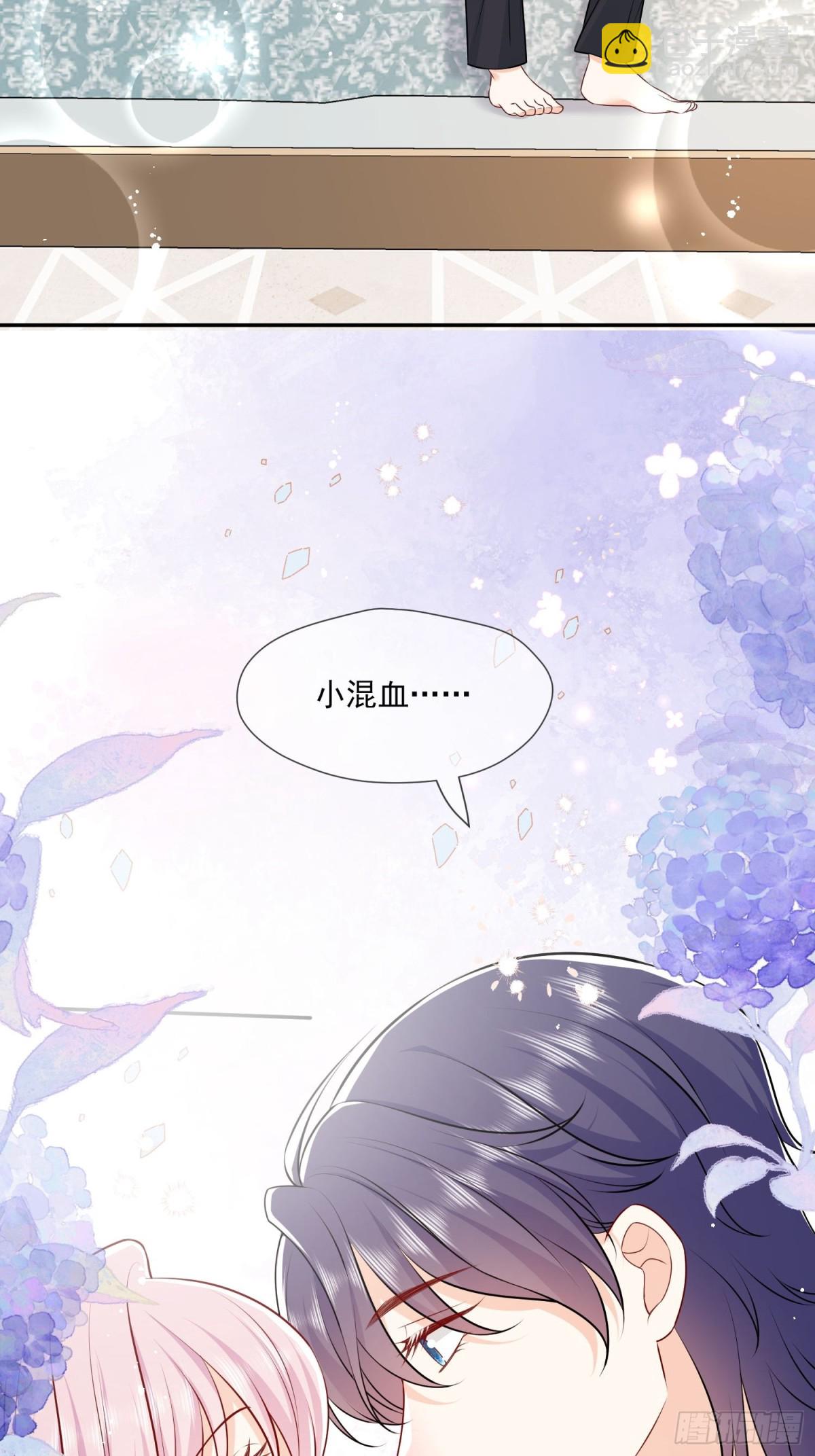 12 守护小混血行动现在开始(1/2)-第13话