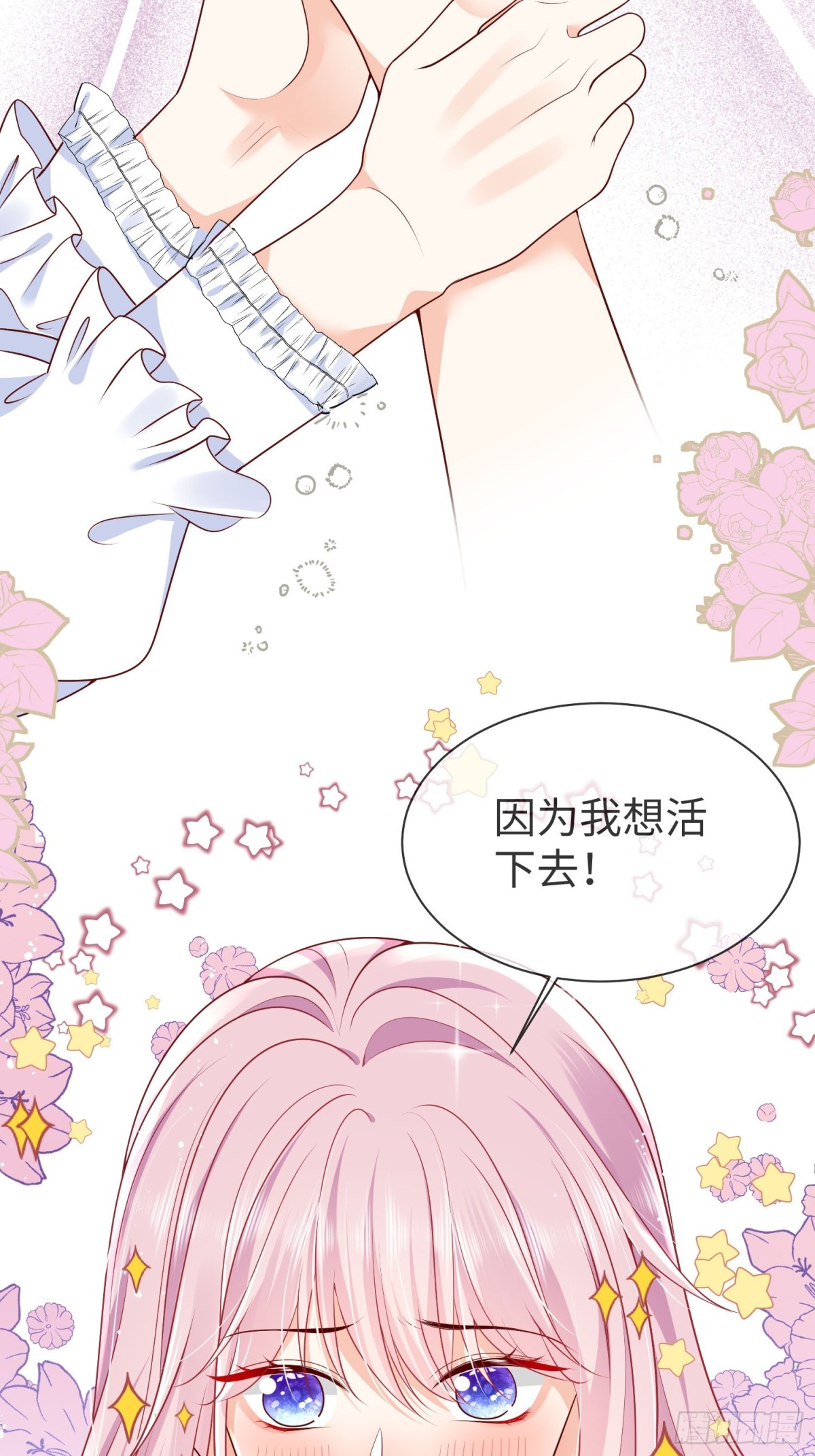 12 守护小混血行动现在开始(1/2)-第13话