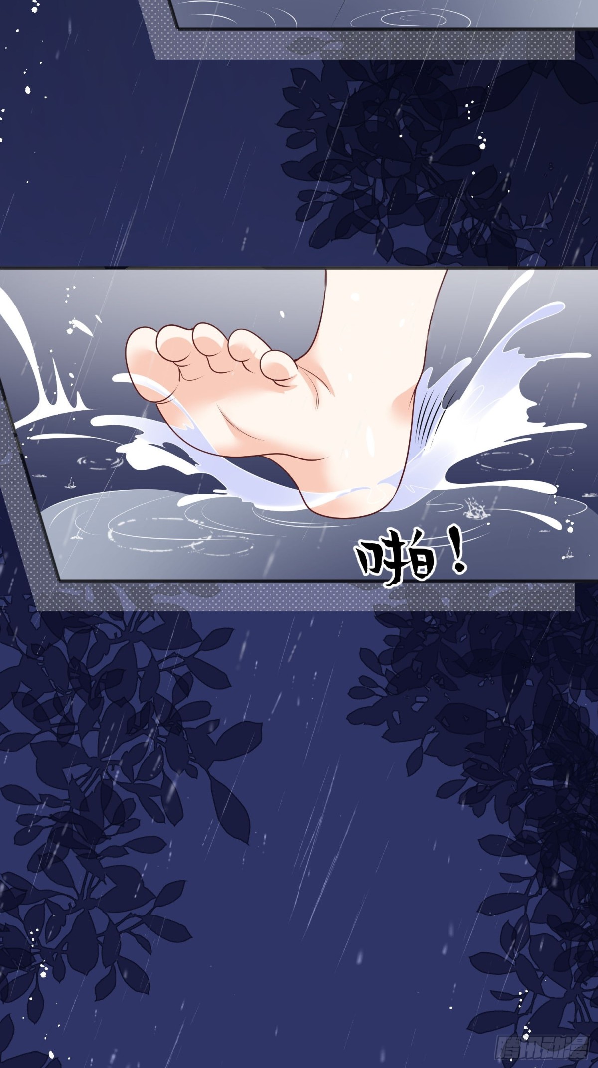 12 守护小混血行动现在开始(1/2)-第13话