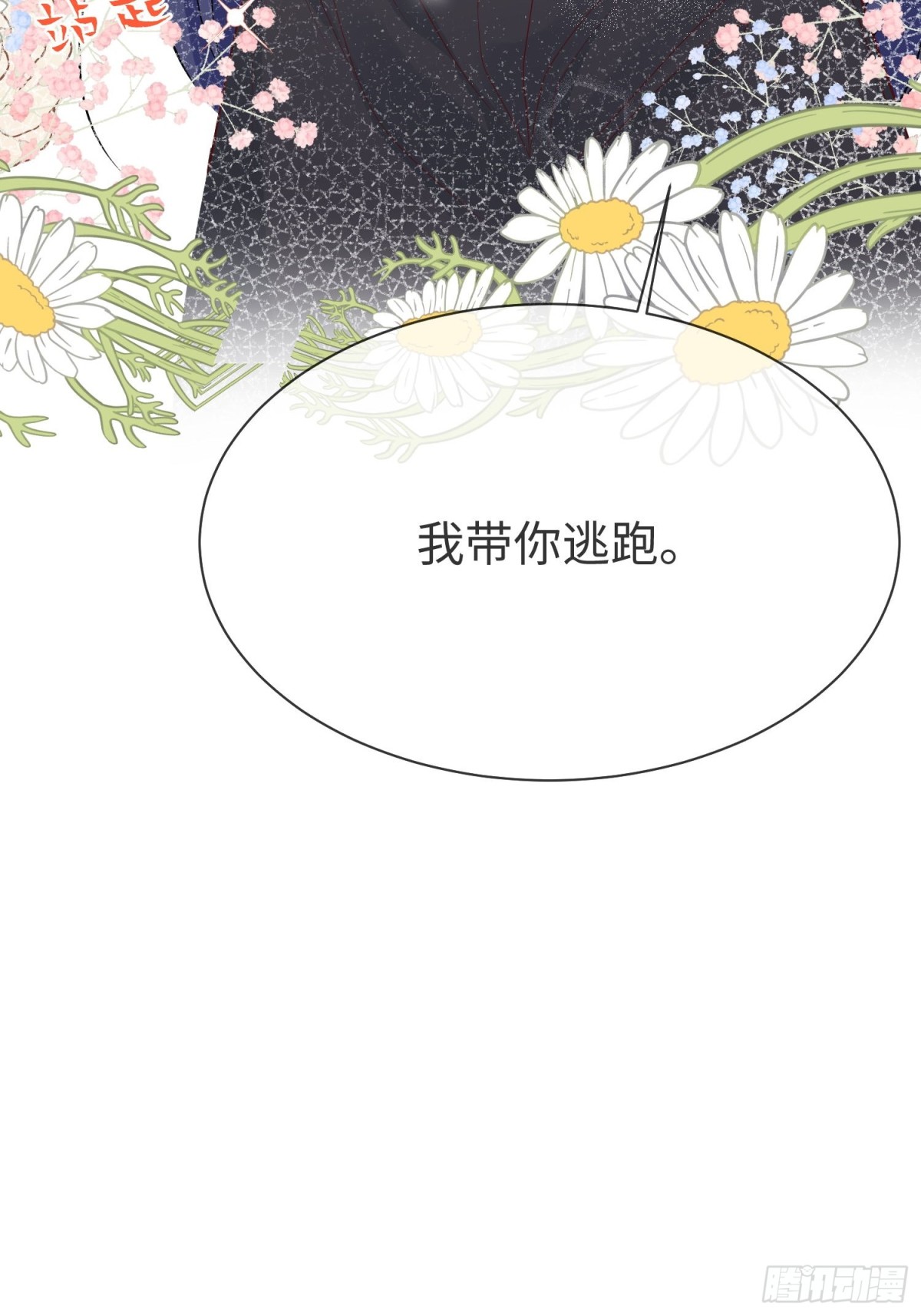 12 守护小混血行动现在开始(1/2)-第13话