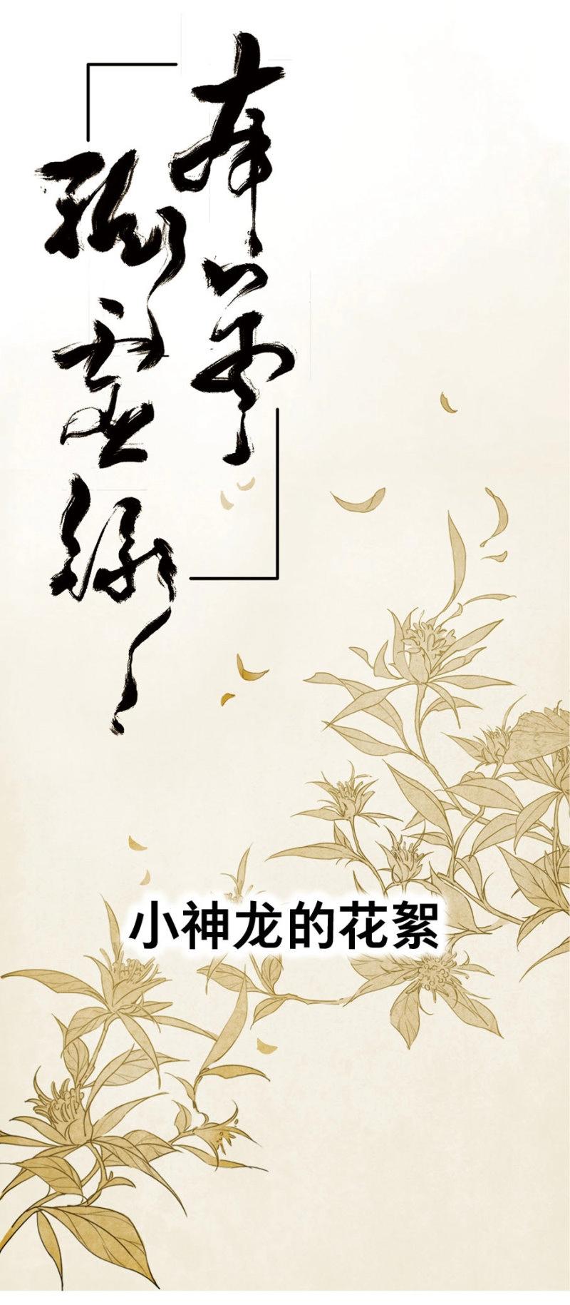 第28话 小神龙的花絮-第27话