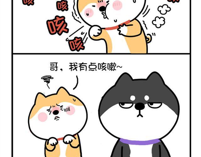 你就死了这条心吧！-第11话