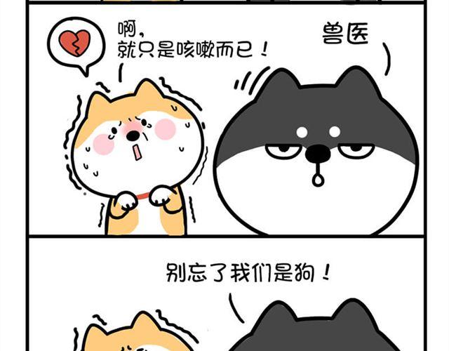 你就死了这条心吧！-第11话