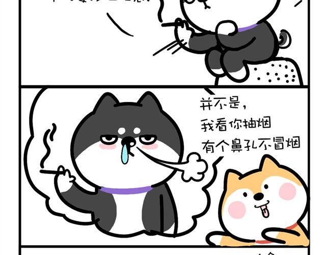 哥，你是不是感冒了-第3话