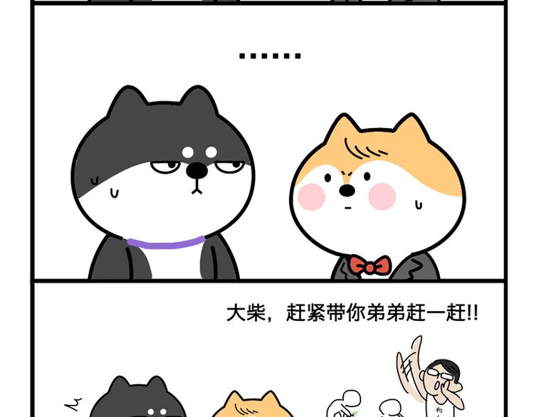 哥，问你个事儿-第25话