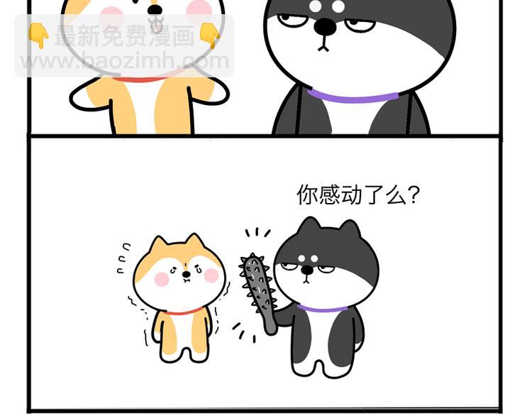 分苹果-第37话