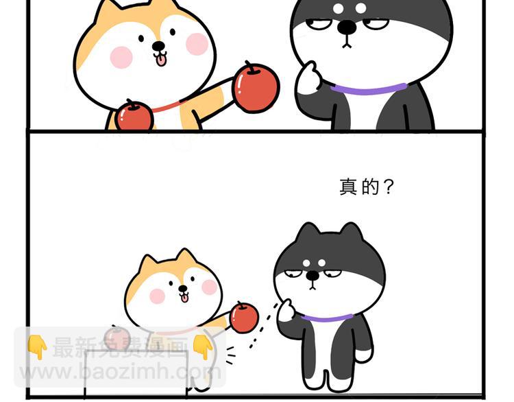 分苹果-第37话