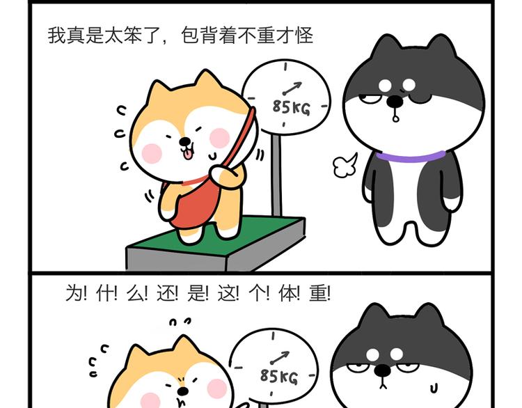 &ldquo;机智&rdquo;到无言以对-第41话
