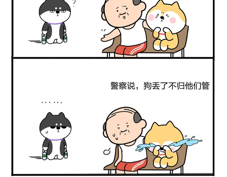 我哥丢了！-第47话