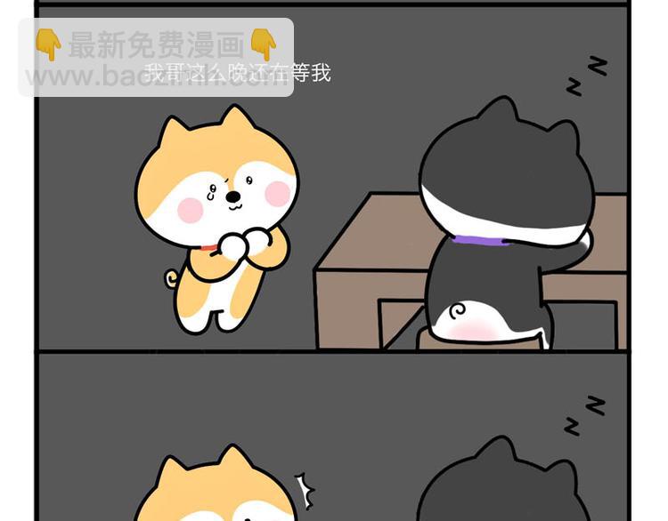 我哥丢了！-第47话