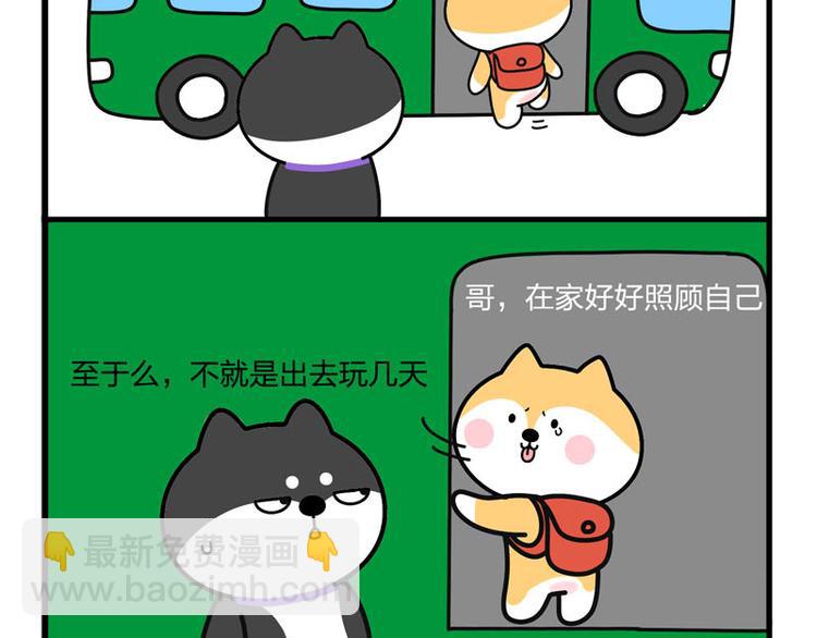 我哥丢了！-第47话