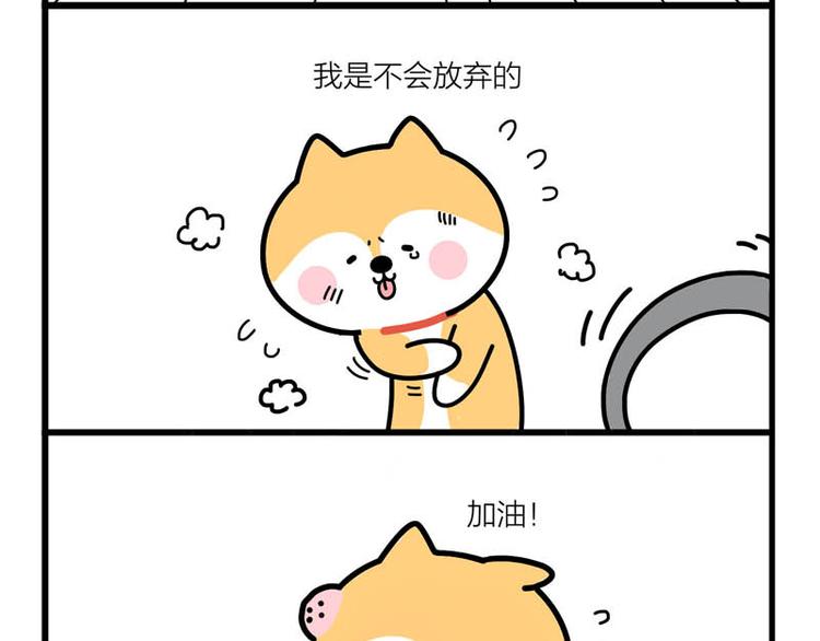 贴心的二柴-第51话