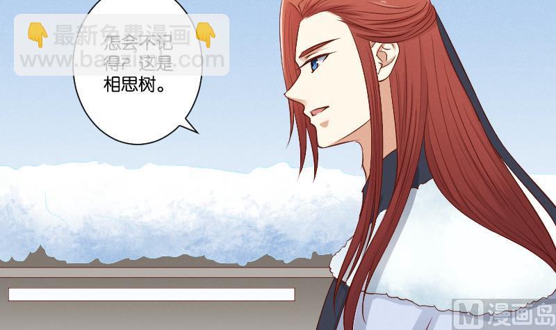 第296话 圣诞小剧场&mdash;冬青 3-第297话