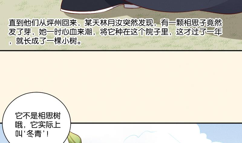 第296话 圣诞小剧场&mdash;冬青 3-第297话