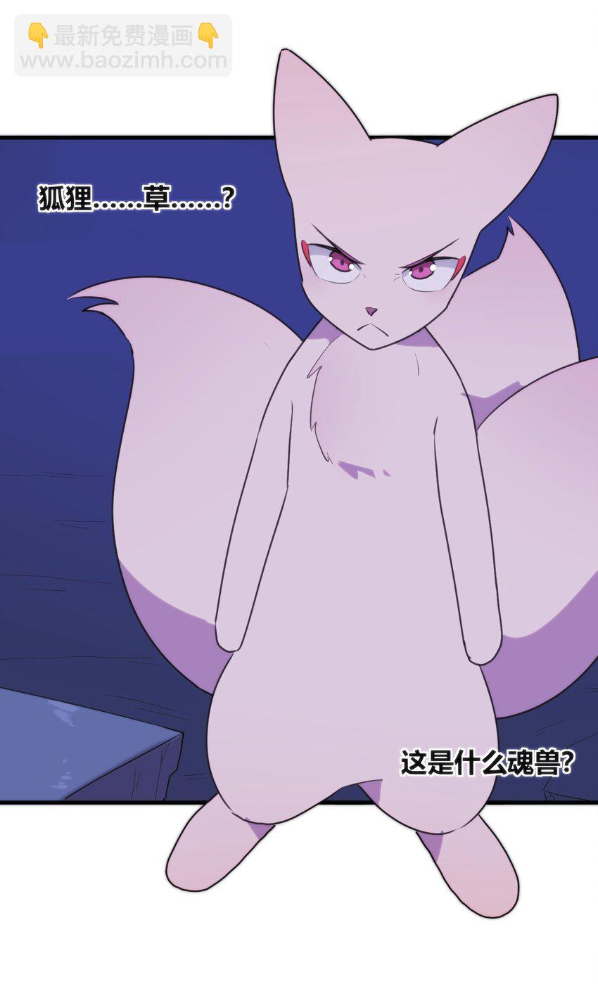 221 小狐狸上场-第221话