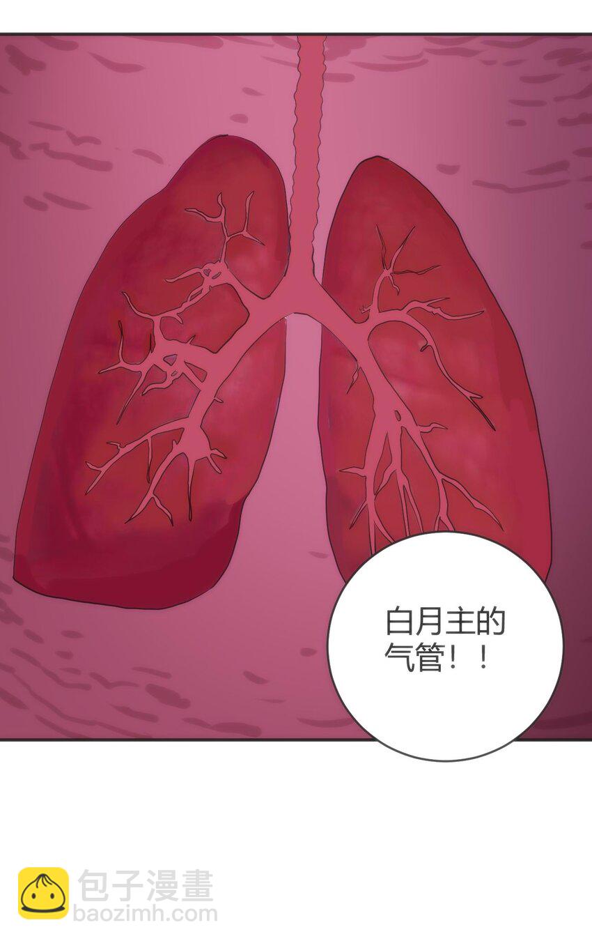 284 紫雷万钧(1/2)-第285话