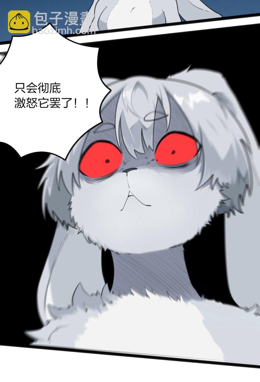 067 兔子，好壮一只大兔子-第67话