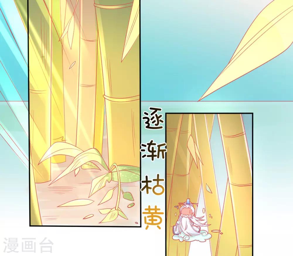 第15话 修炼，突破(1/2)-第17话