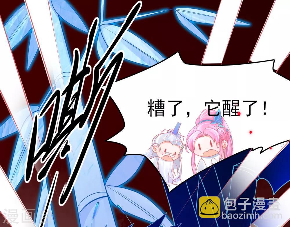 第38话 竟然是万年雪雾竹-第41话