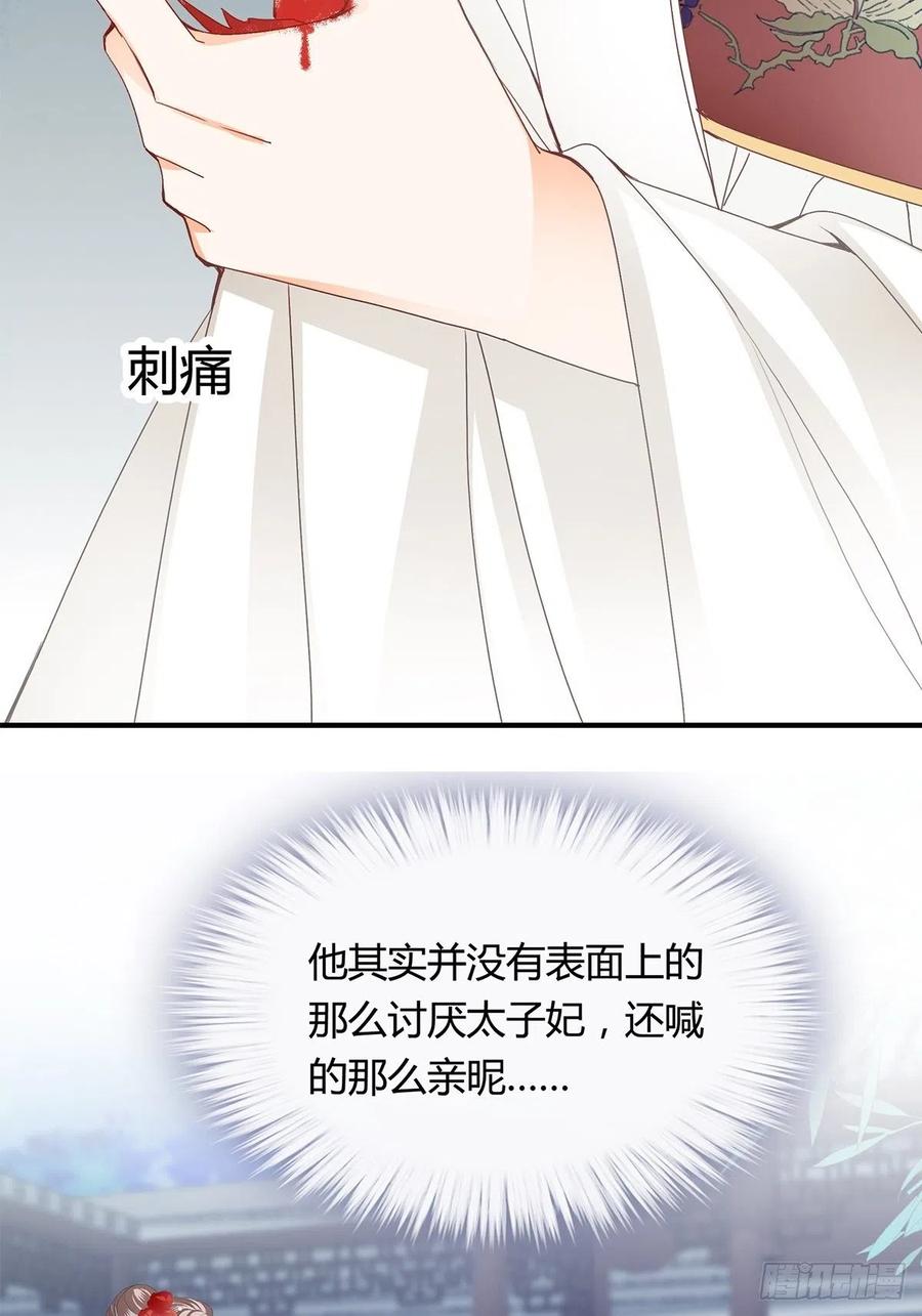 你在担心太子妃？-第105话
