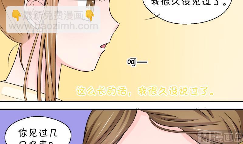 第81话 回家去找男神 1-第81话