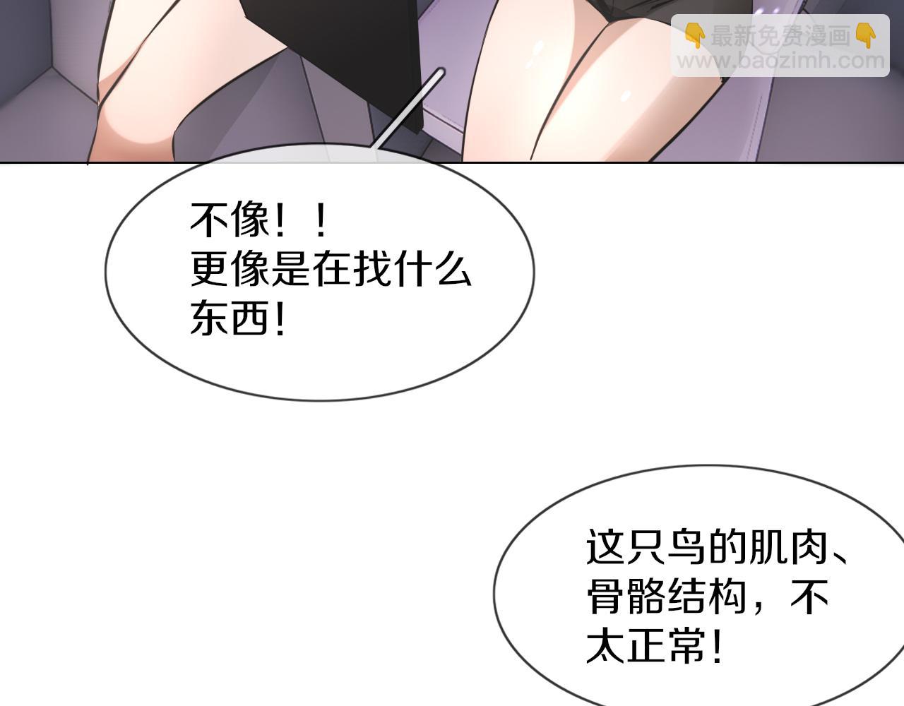 第134话 猛禽的反击(1/2)-第135话