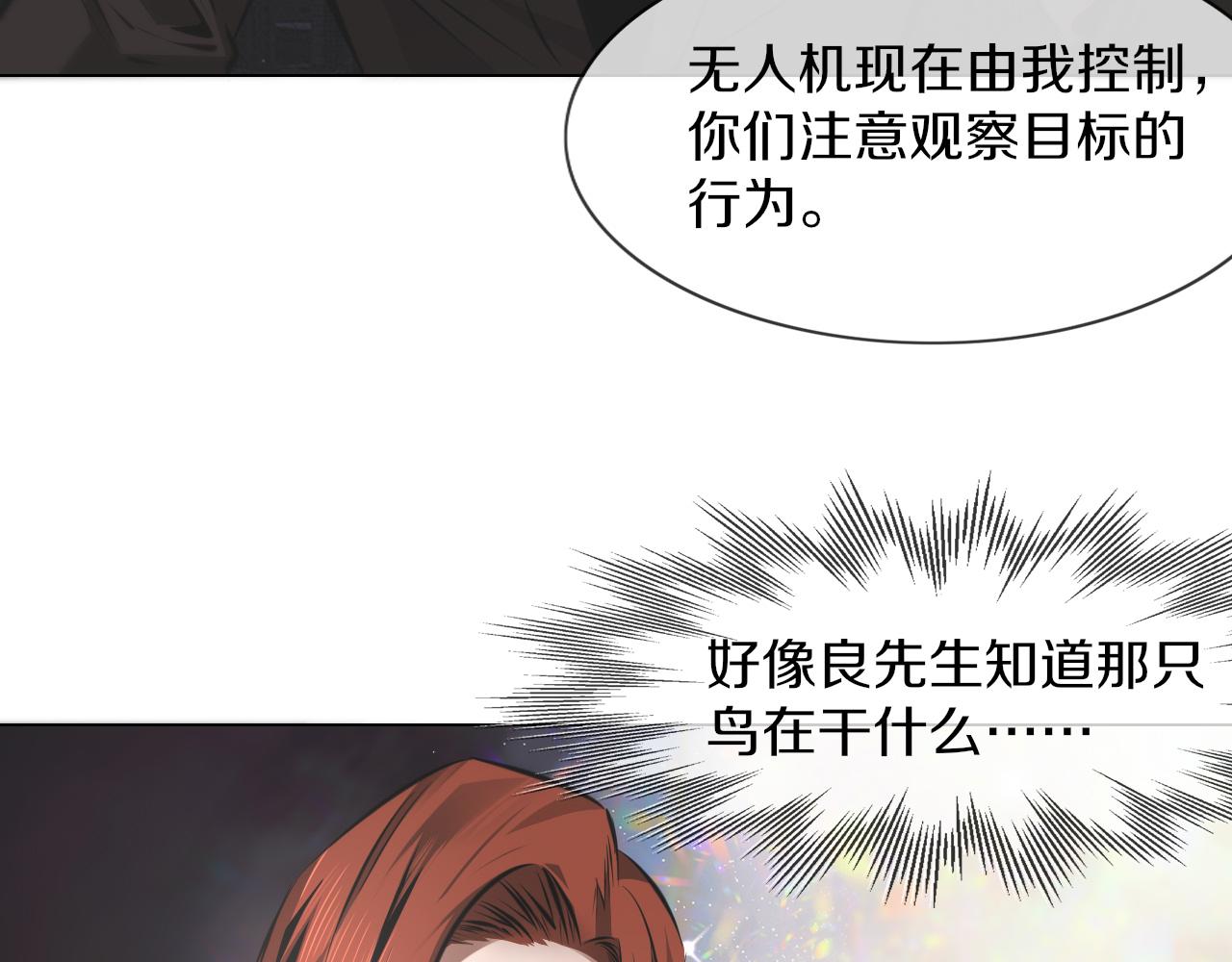 第134话 猛禽的反击(1/2)-第135话
