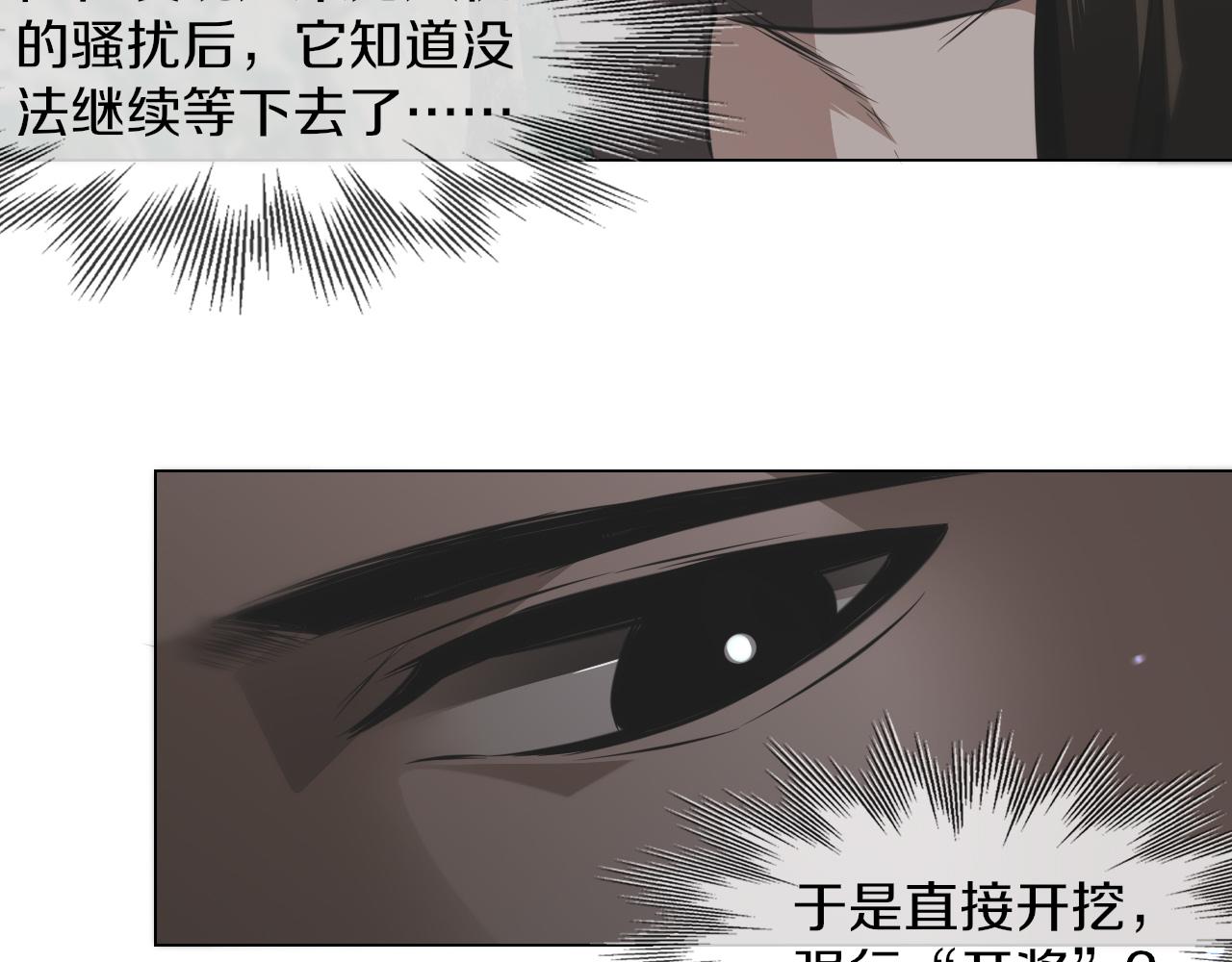 第134话 猛禽的反击(1/2)-第135话