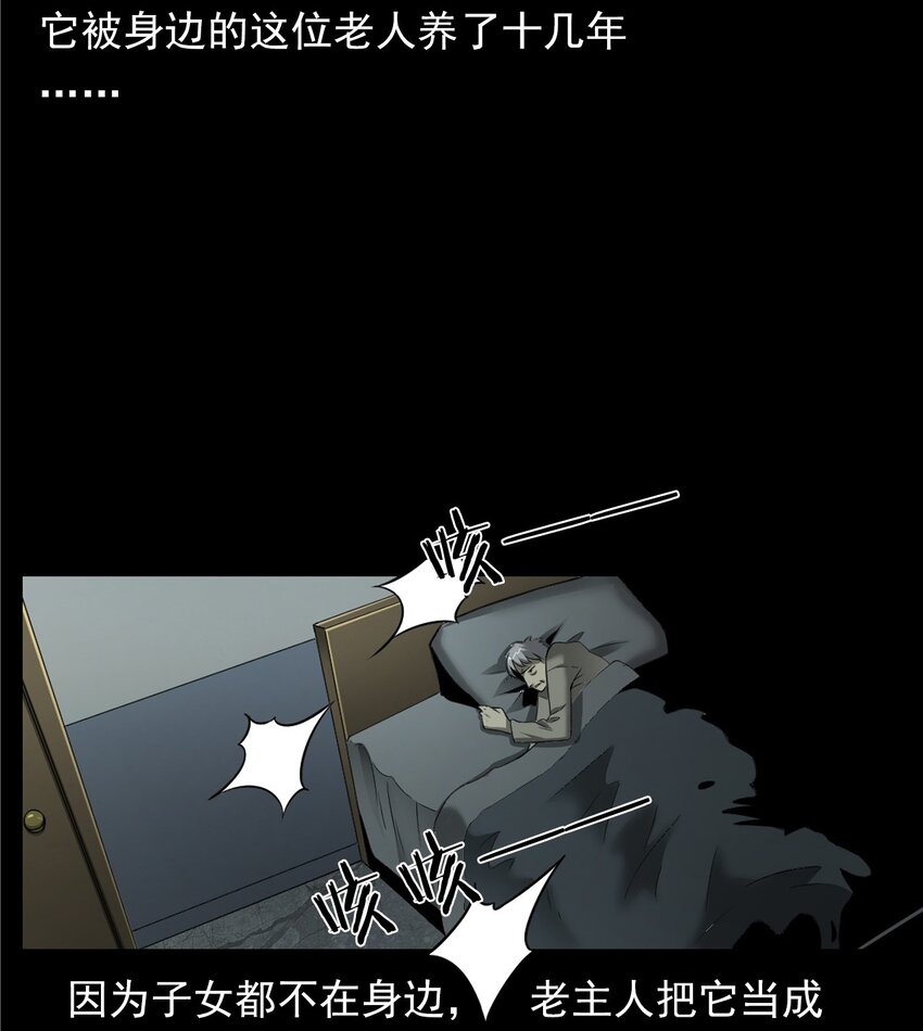 043 灵犬（下）(1/2)-第43话