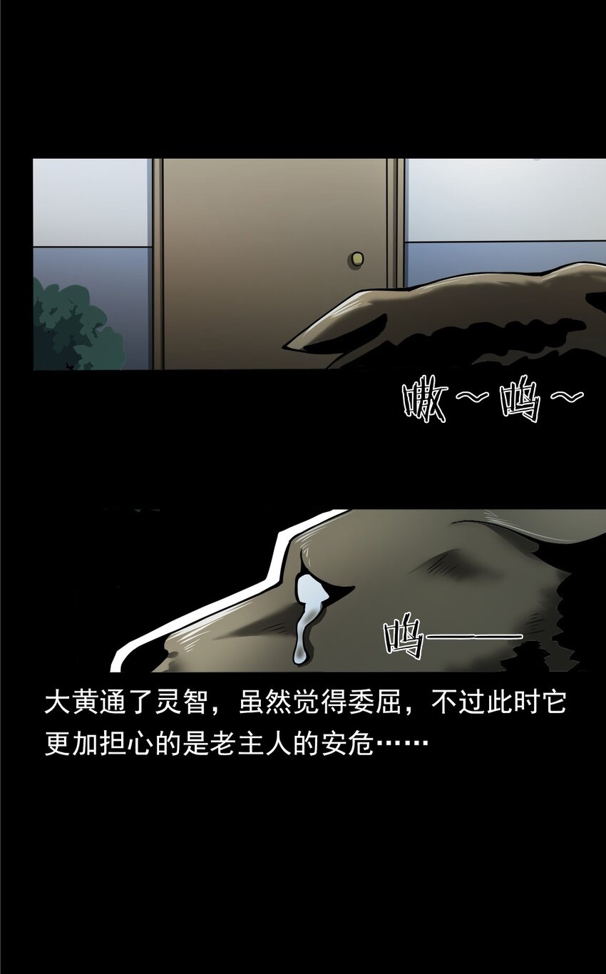 043 灵犬（下）(1/2)-第43话