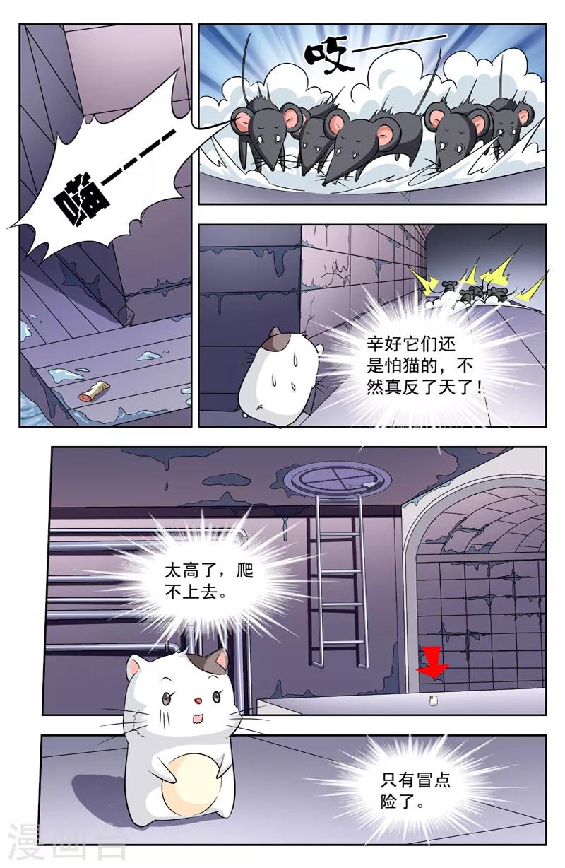 第113话 群鼠-第113话