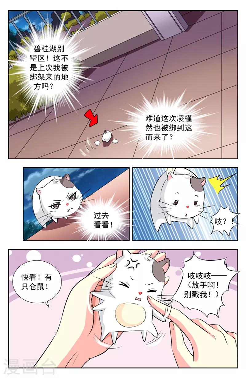 第113话 群鼠-第113话
