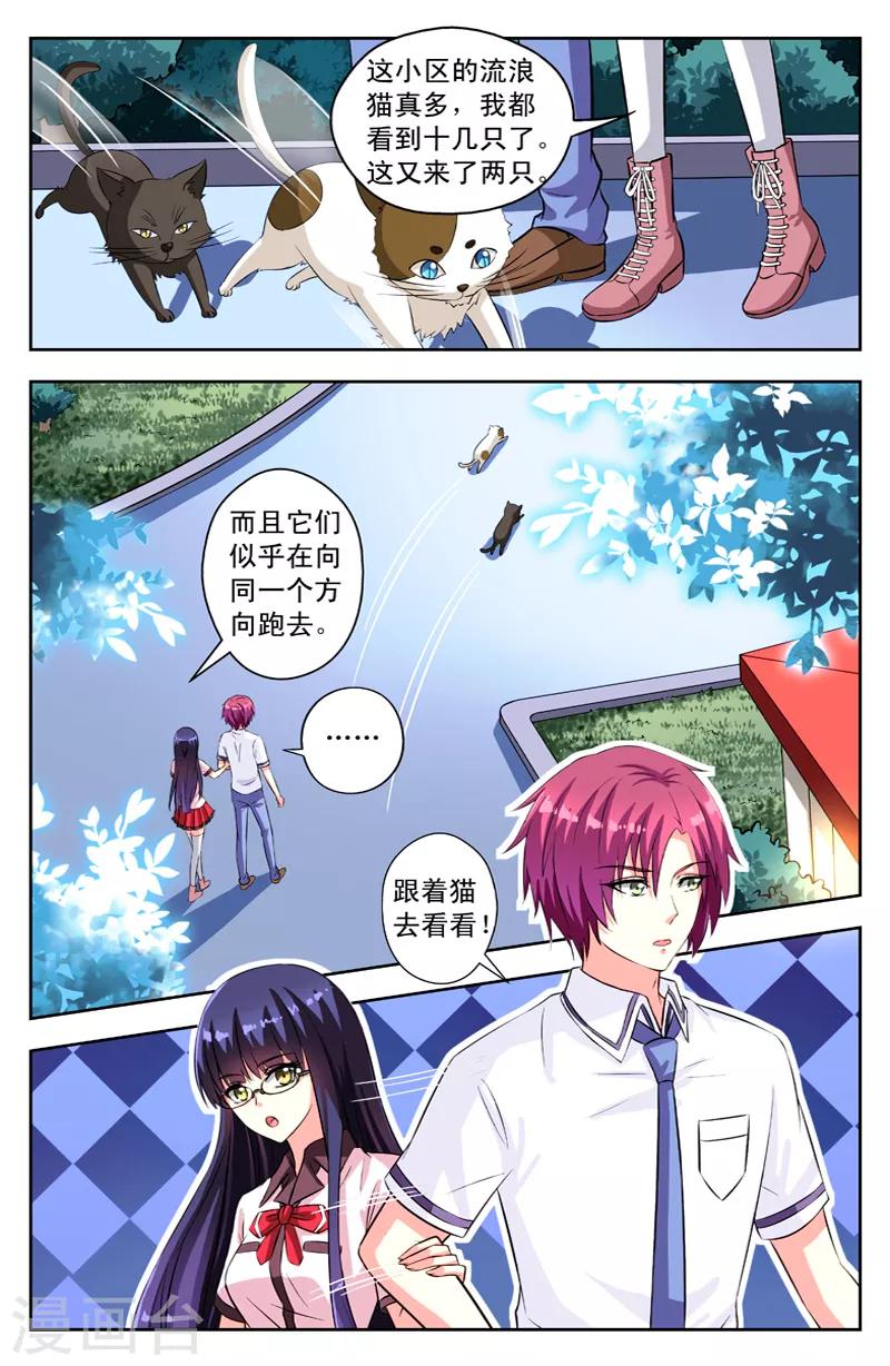 第53话 假情侣-第53话