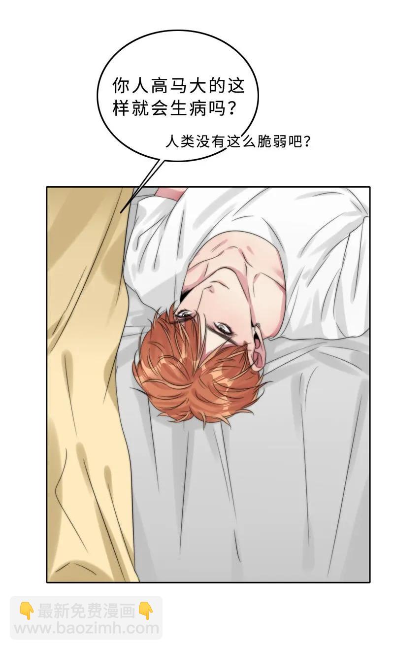 043 要报答吧-第43话