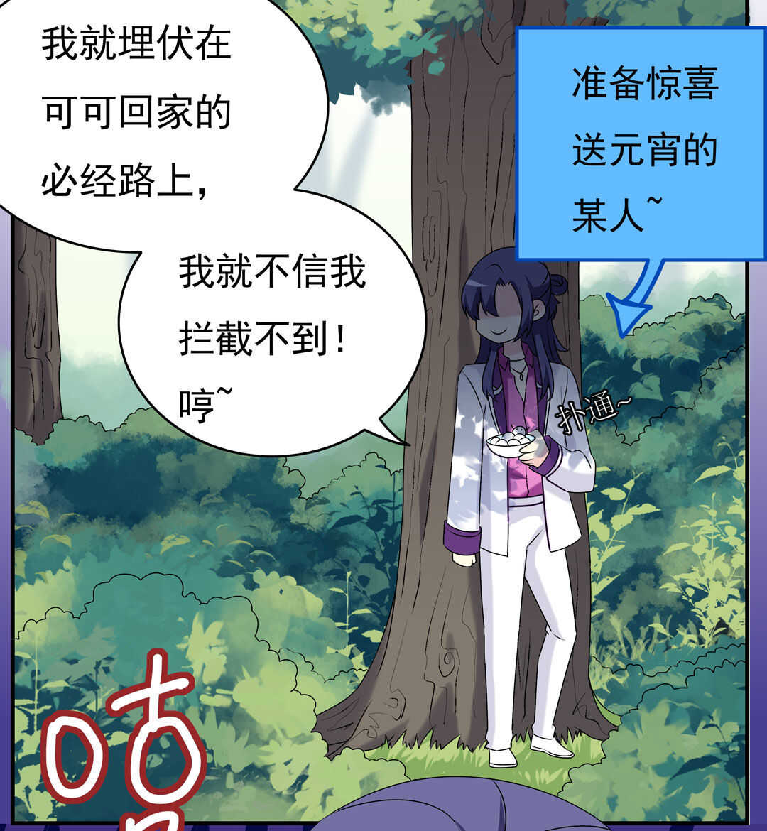 番外9 元宵历险记(1/2)-第93话