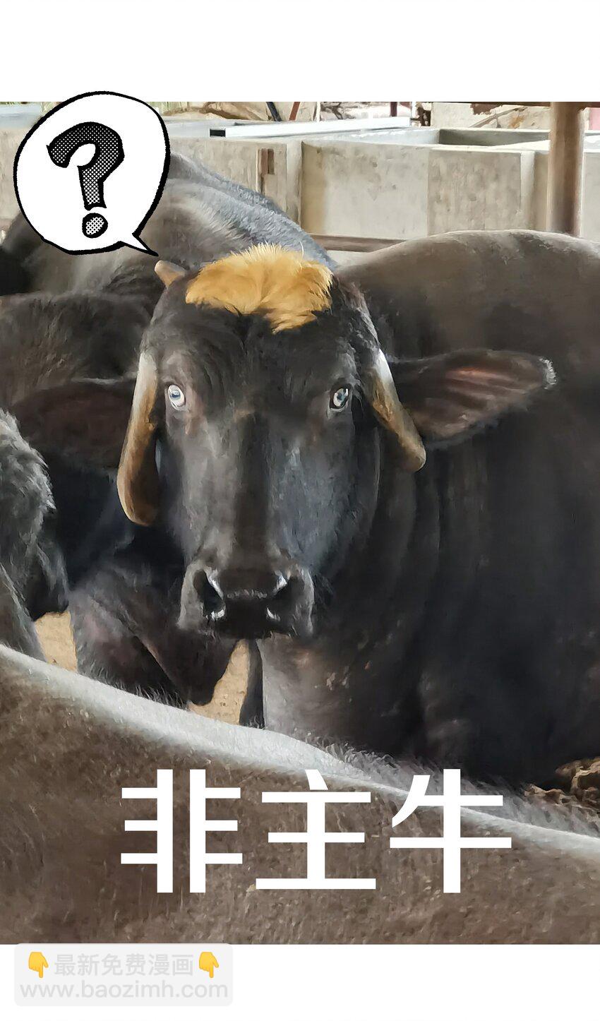 小番外 圣诞节-第37话