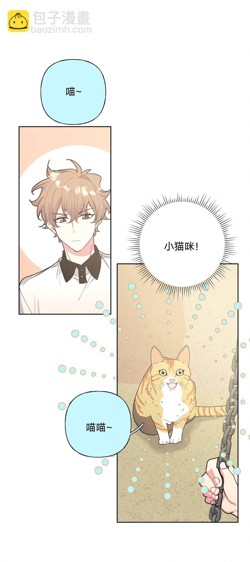 008 两只流浪猫(1/2)-第9话