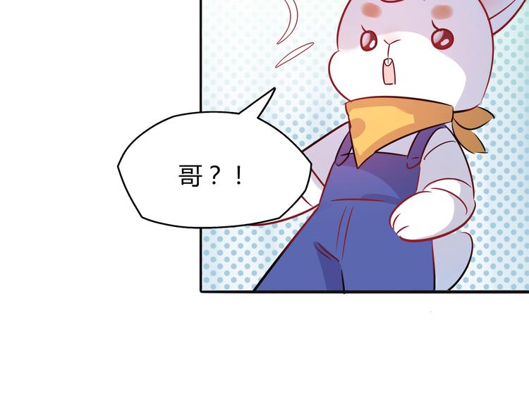 第5话 萌兔子的烦恼(1/2)-第5话