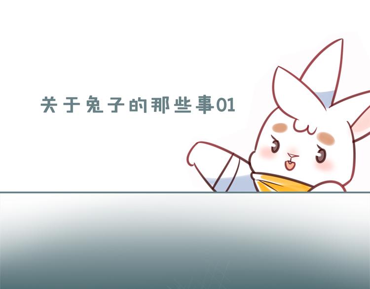特别篇 关于兔子的那些事01-第57话