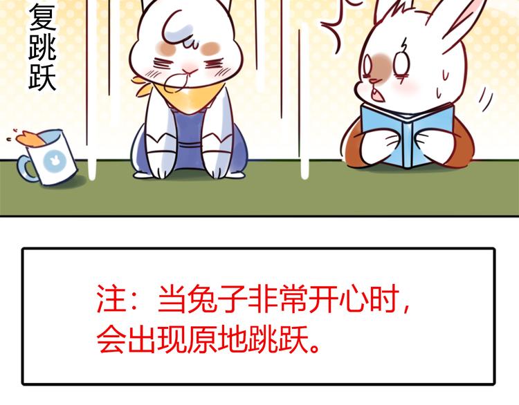 特别篇 关于兔子的那些事03-第59话