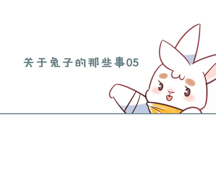 特别篇 关于兔子的那些事05-第61话