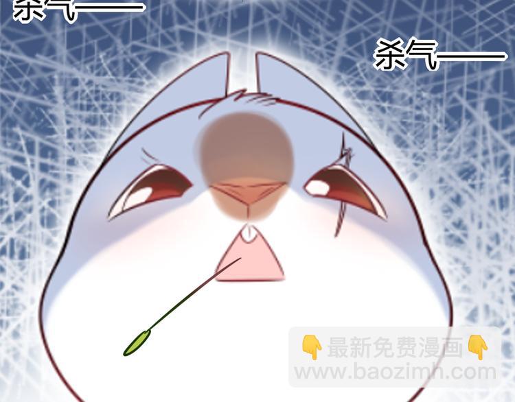 特别篇 关于兔子的那些事05-第61话