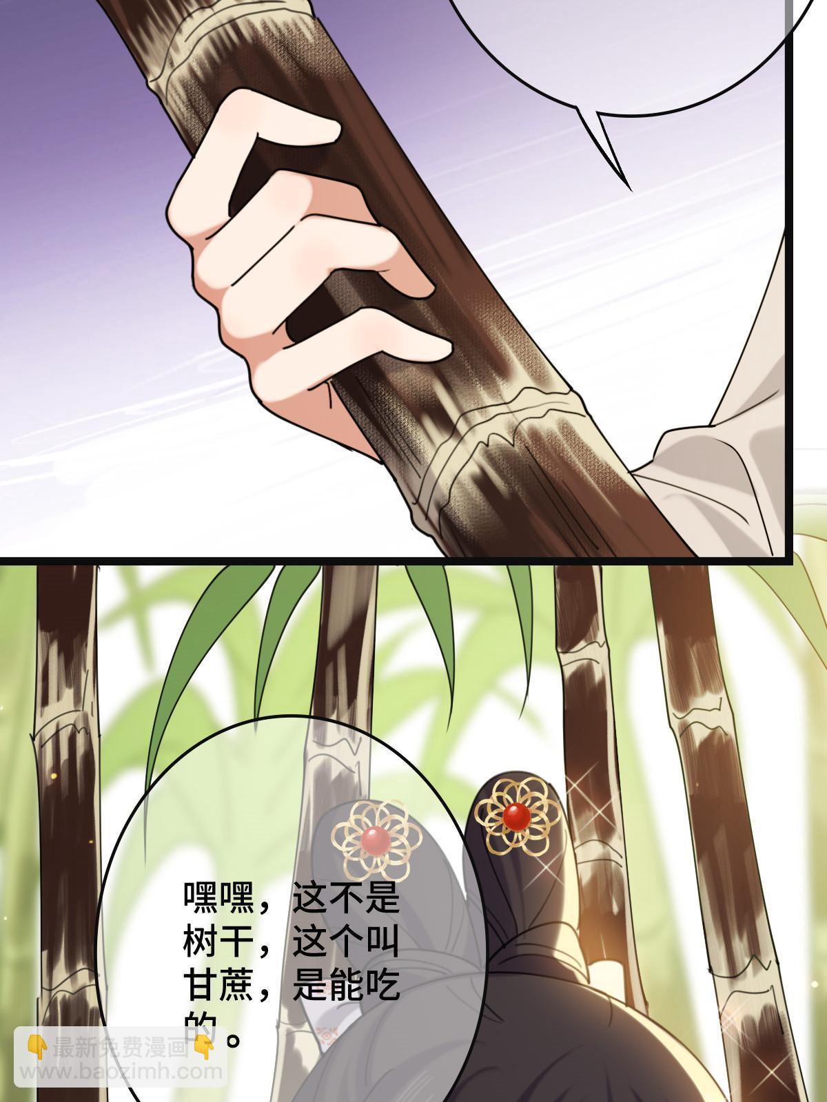 098 生辰愿望(1/2)-第101话